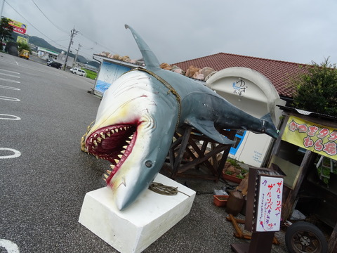 DSC00617