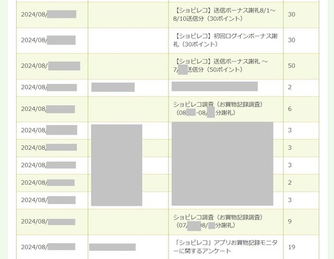 1_6_po_y_k_2024_8gショピレコ_1_2024_08