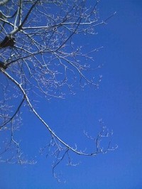100207_0945~0001