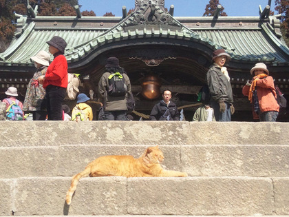 筑波山神社本殿