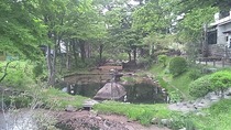 2011_05_20_12_51_45