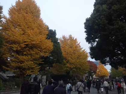 上野公園紅葉