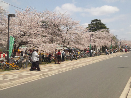 清水公園