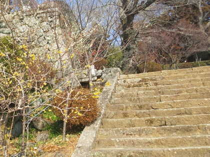 筑波山