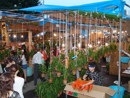 sub_photo_shimanrokusen02b