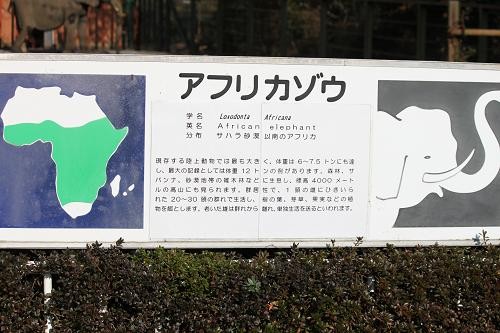 あにまるカメラ 伊豆アニマルキングダム