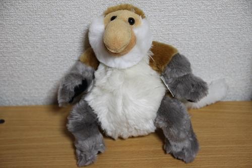 あにまるカメラ March 12