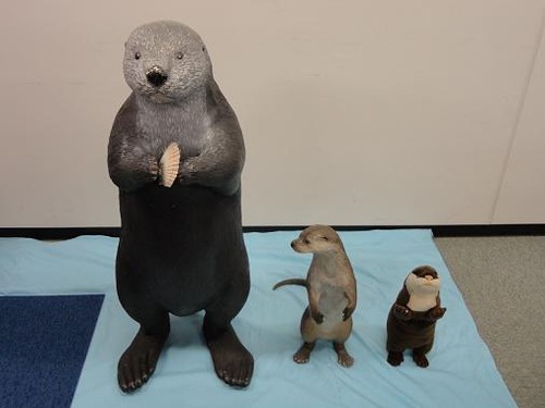 あにまるカメラ 海遊館 あにまるカメラ 海遊館