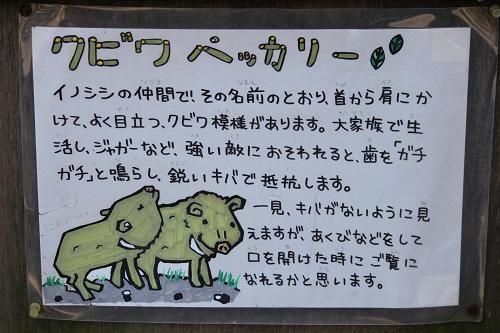あにまるカメラ 伊豆シャボテン公園