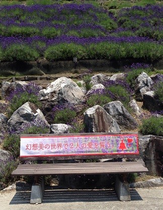 IMG_7281 (2)