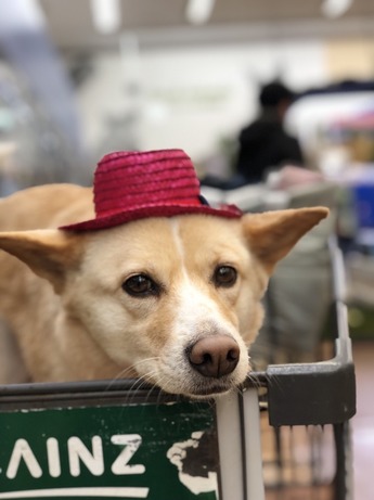 28DDDA2E-7AFC-4309-893F-39AA4BF3FF98