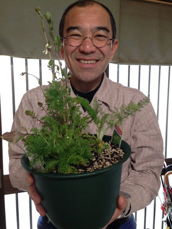 ハーブの寄せ植え