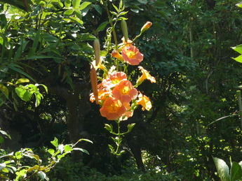P1010360