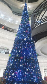 P1011357
