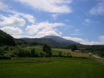 o0420031511368797428