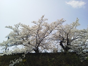 NEC_0028