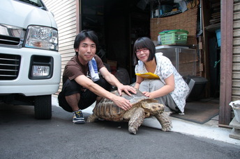 kame13