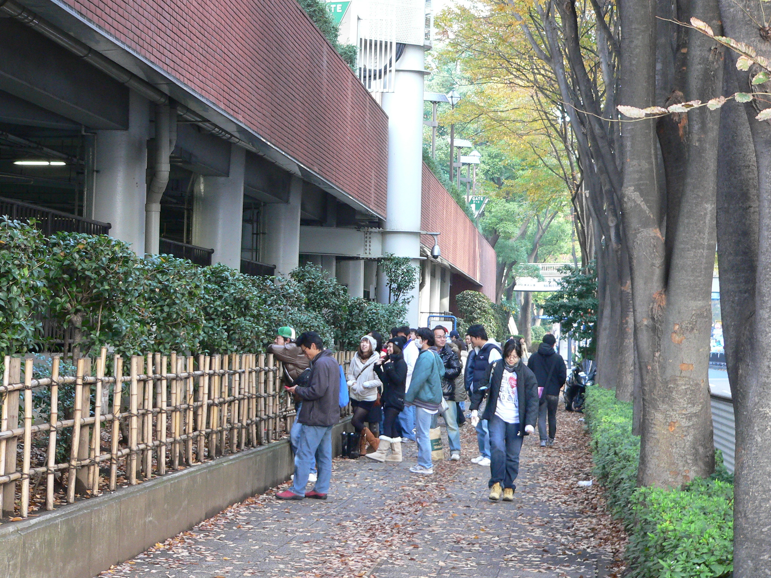 ファン感 横浜スタジアム The野球好き 神戸