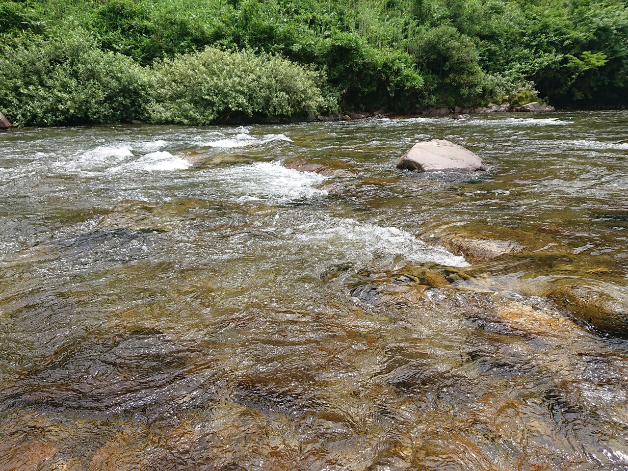 7 4 高津川 六兵衛の釣り道楽日誌