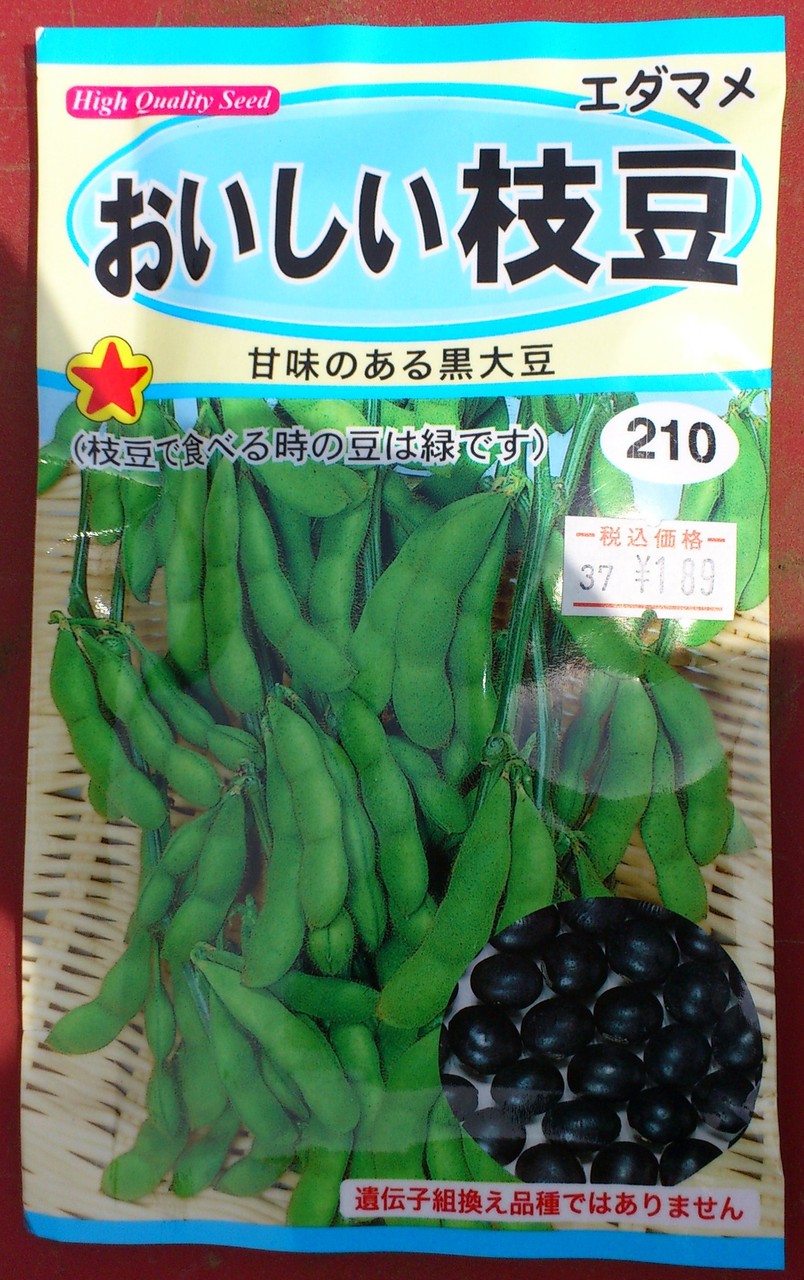 枝豆 播種1日目 4 15 きらきら農園部 枝豆 播種1日目 4 15 きらきら農園部