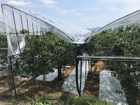 写真 2018-06-24 12 58 21