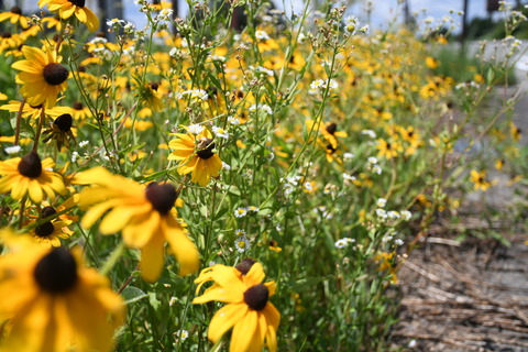 写真 2018-08-14 11 13 22