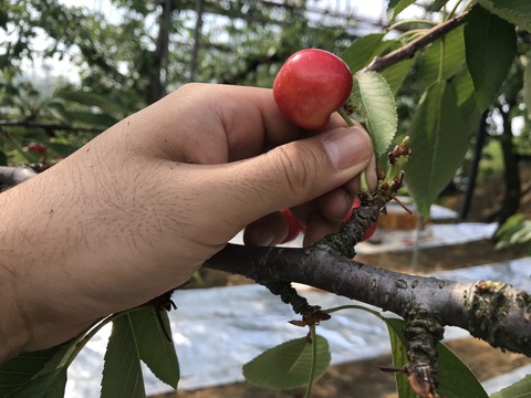 写真 2018-06-24 14 15 52