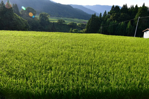 写真 2018-08-14 6 26 08