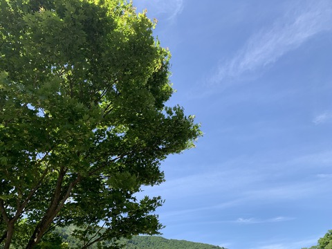 JzVSleh4QPO2ydnaoOqO7g