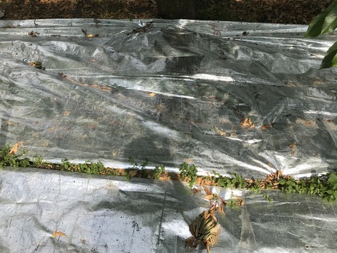 写真 2018-06-24 14 25 21