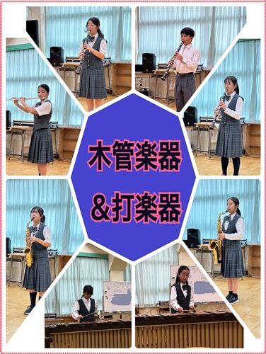 木管2
