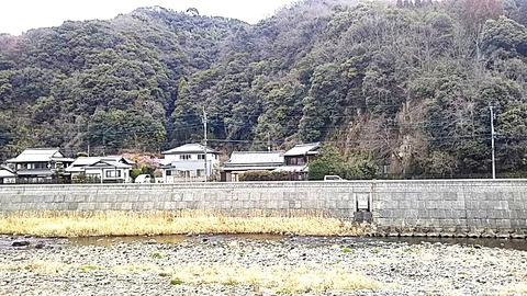 nanohana q