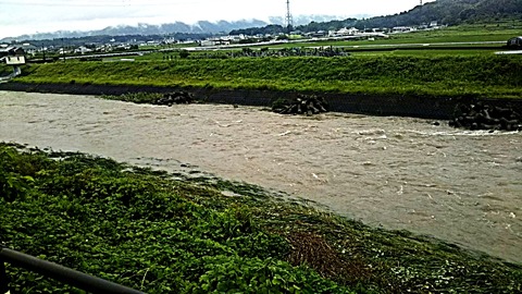 IMG_20200707_162032
