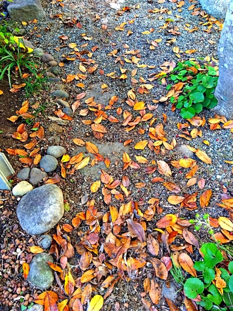 IMG_2025-11-15-09-37-47-410