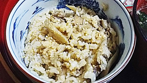 torigobo2
