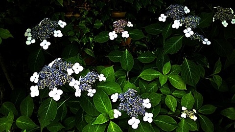 IMG_20200601_133140