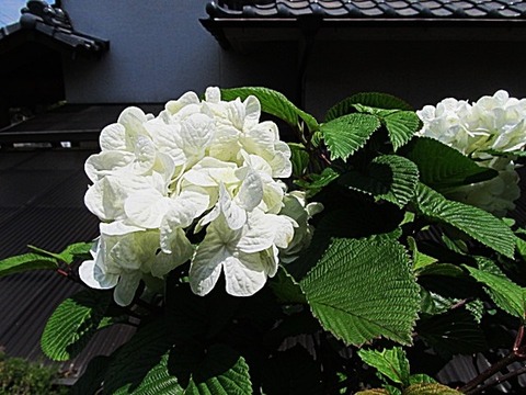 6c5f698c-s