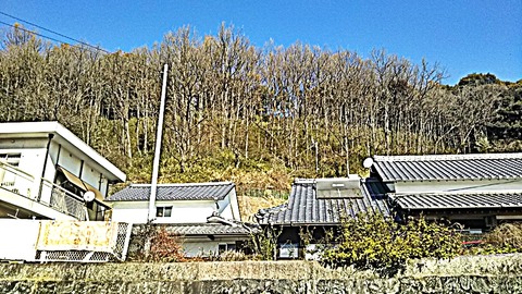 zoukibayasi