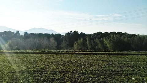 siruet