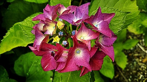 IMG_20200601_133100