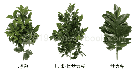 sikimi-siba-sakaki_a