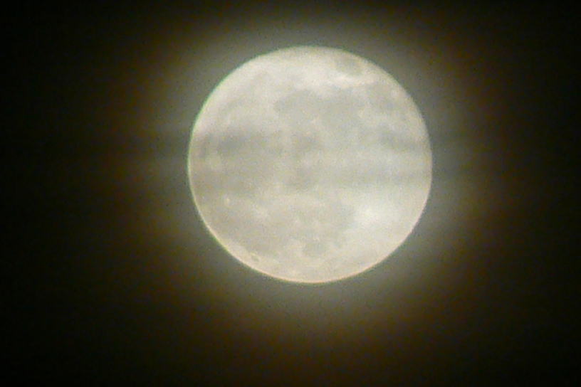06ed0f82.jpg
