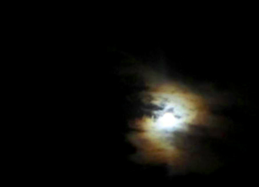07c6aaa0.jpg