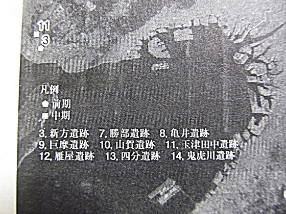11734635.jpg