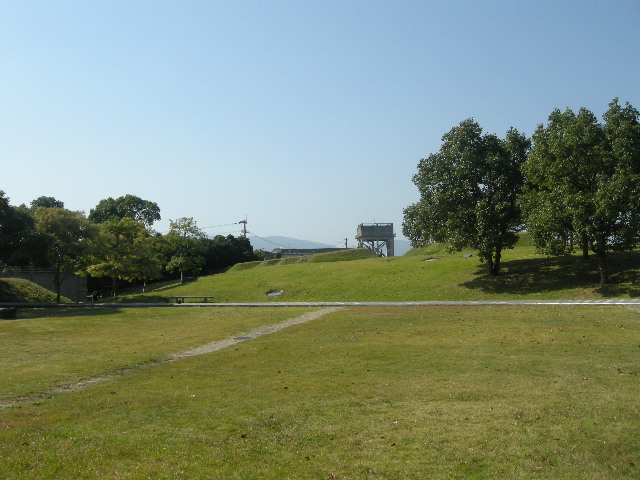 12a596bd.jpg