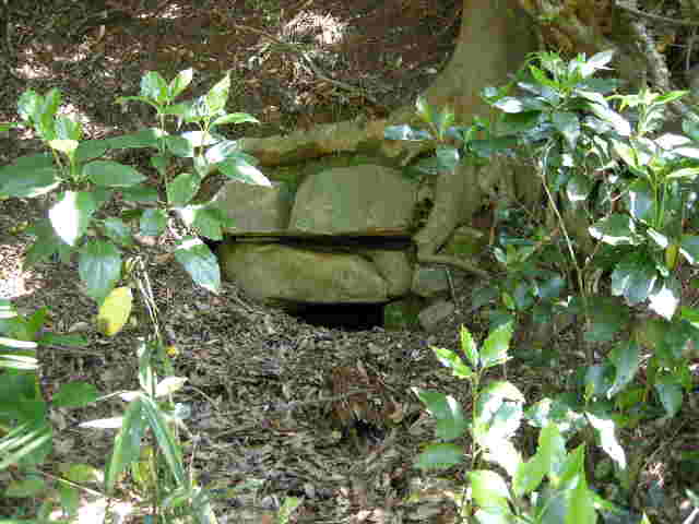 178193d5.jpg