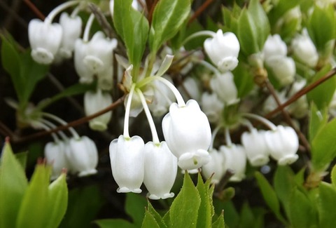 257d74adab0ee088f1c92ce8efddd3a7_m-e1586322887548