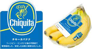 ダウンロード