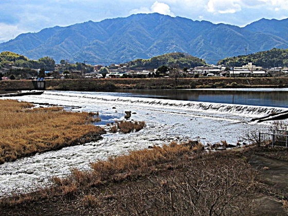 33d43914.jpg