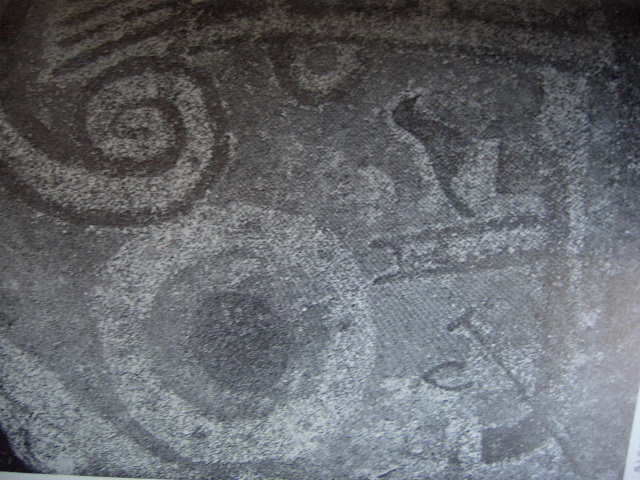 3ec8972e.jpg
